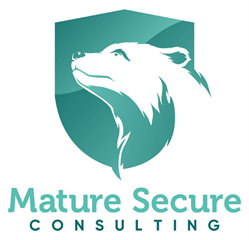 Mature Secure Consulting e.U.
